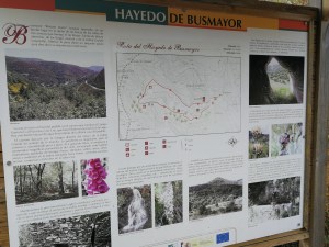 Busmayor , Bierzo , Naturaleza