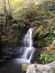 iria , buscador , beiro